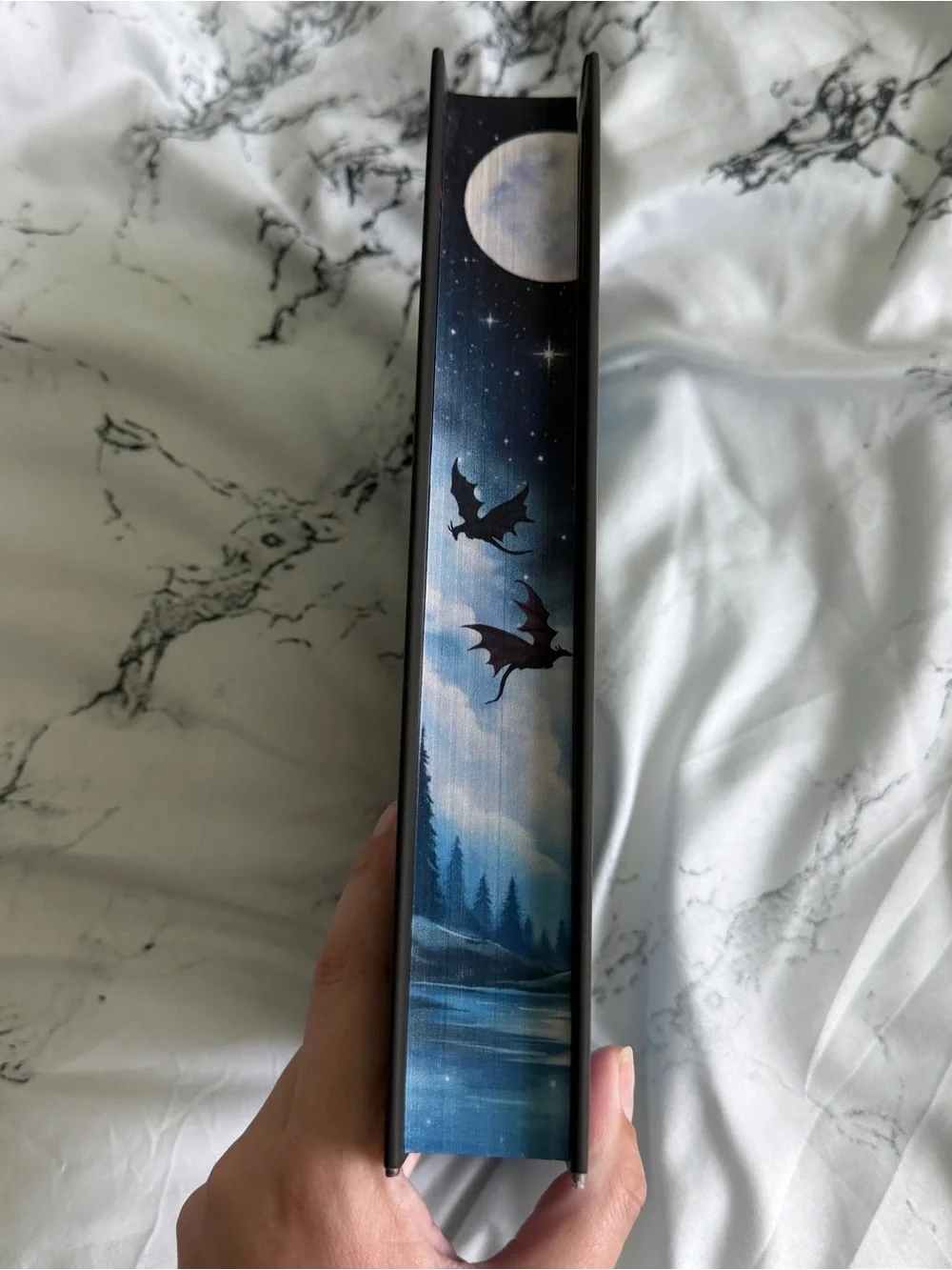 Fairyloot | NWT The Witch in the Dead of Night Book
